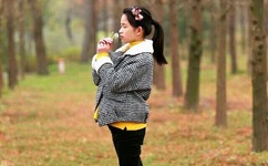 蒋伟文亚洲鸟王